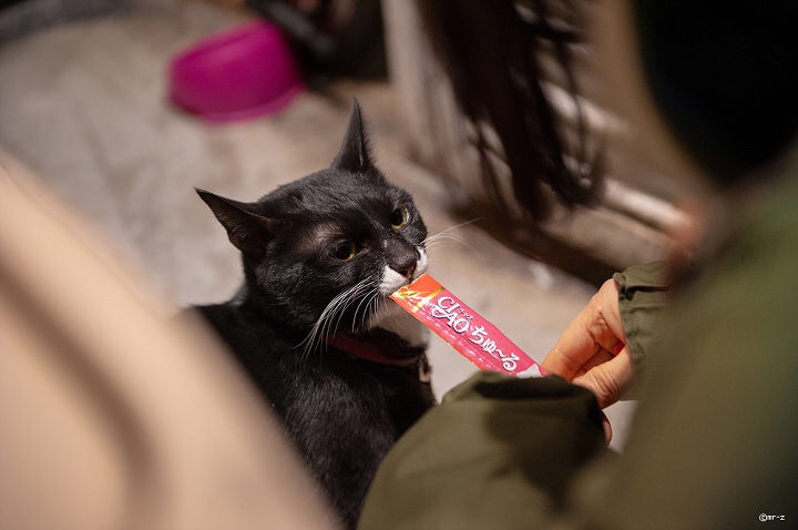 치킨동네 이미지
