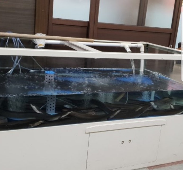 이수풍천장어 이미지