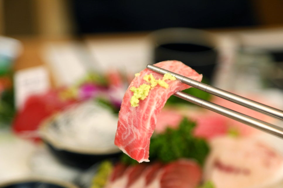 하참치 이미지