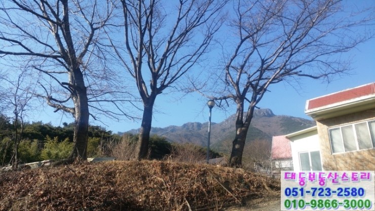 아주싼 이미지