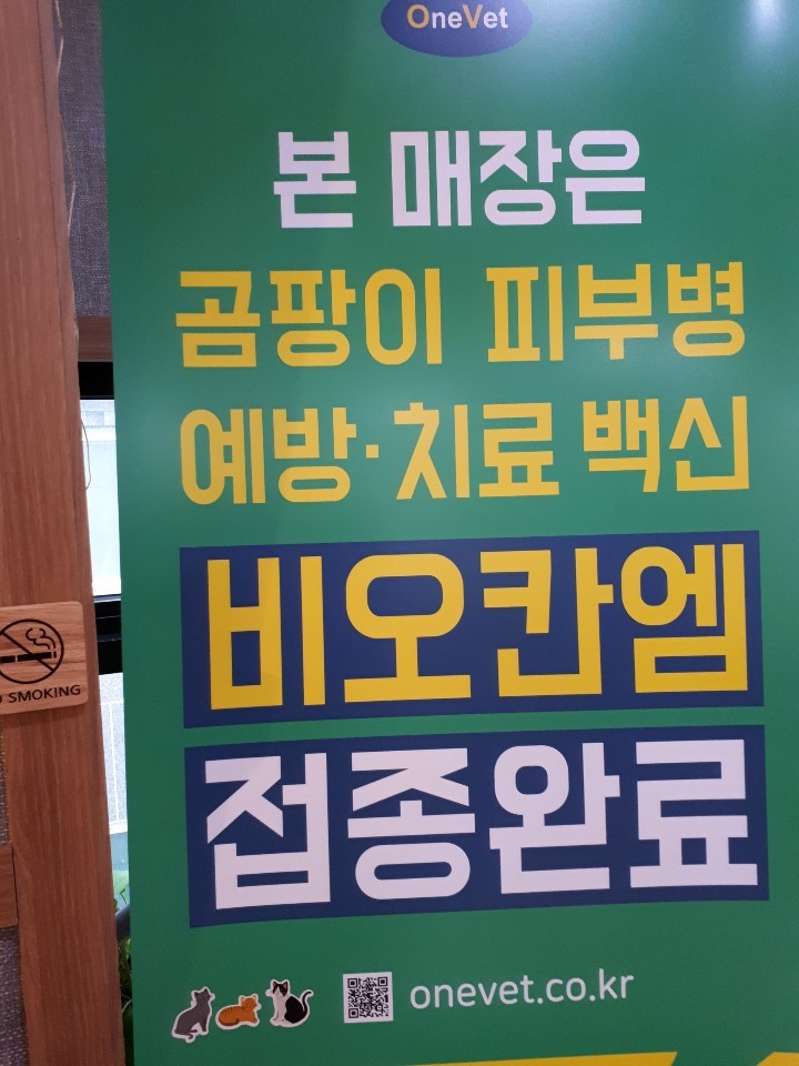 삼층고양이 이미지