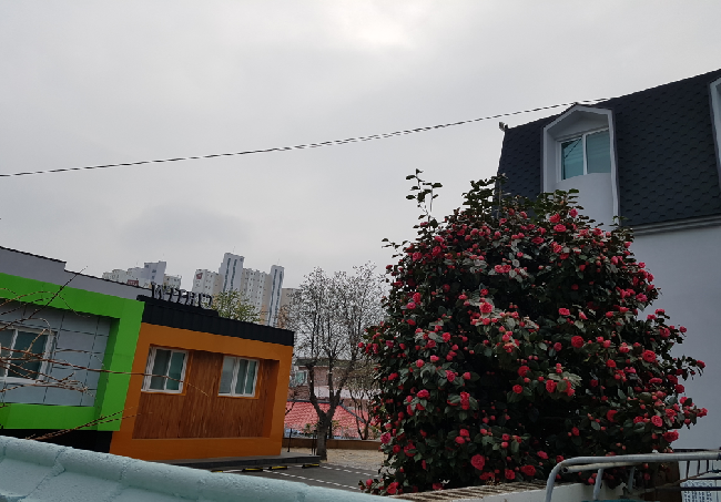 기쁨고속관광 이미지