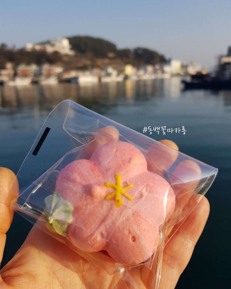 통카롱 이미지