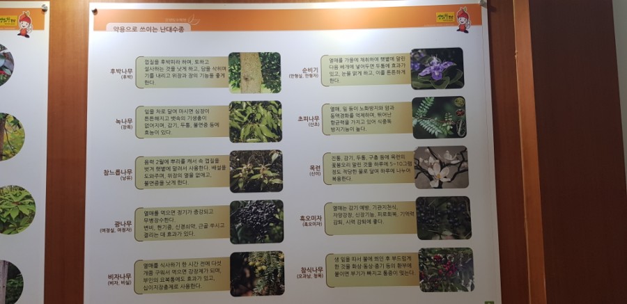 수림세계여행 이미지
