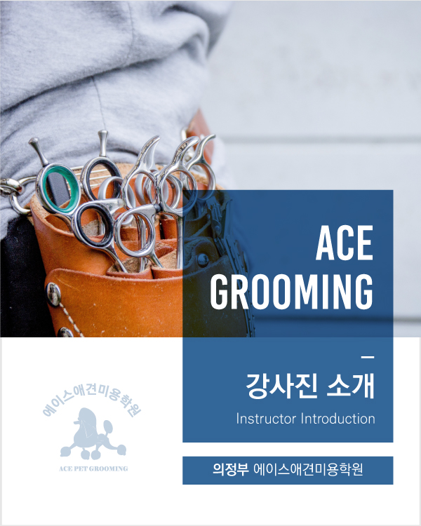에이스애견미용학원 이미지