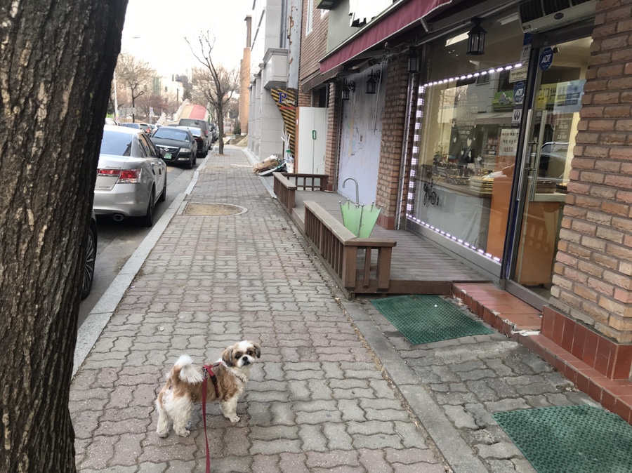 김밥나라칠전점 이미지