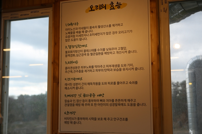 오리다오리 사진 2