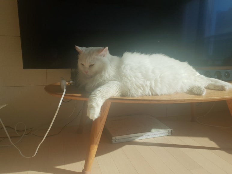 바다노래연습장 이미지