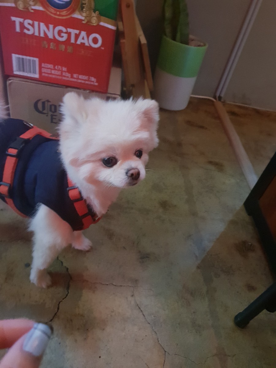 하늘빛창가 이미지