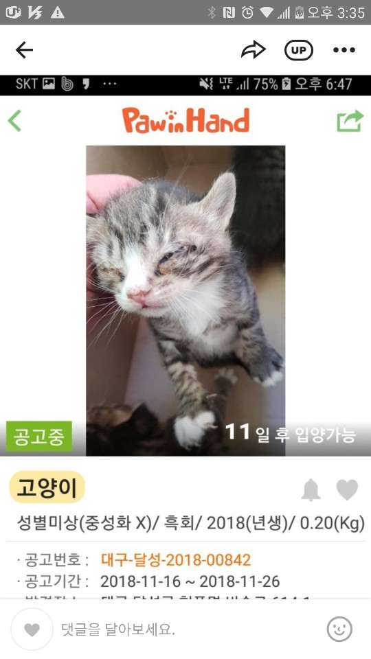 달콩이 이미지