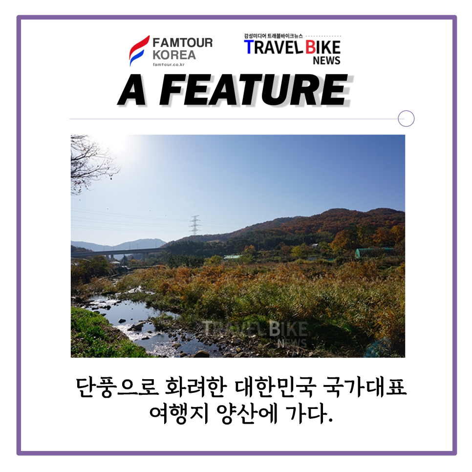 주식회사 나라트래블 이미지