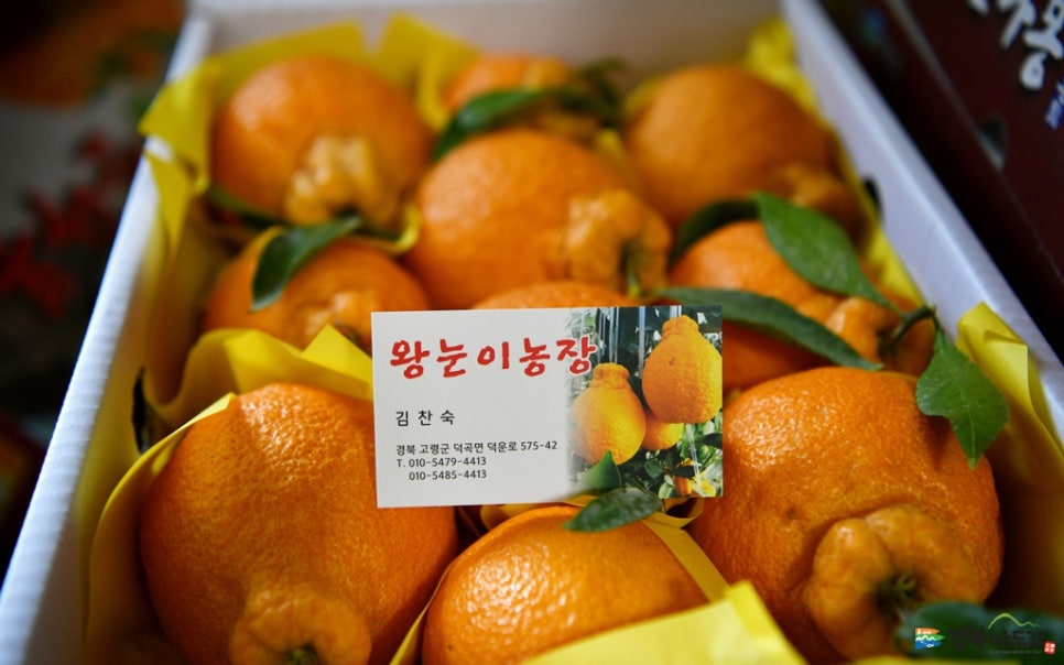 대가야미용실 이미지