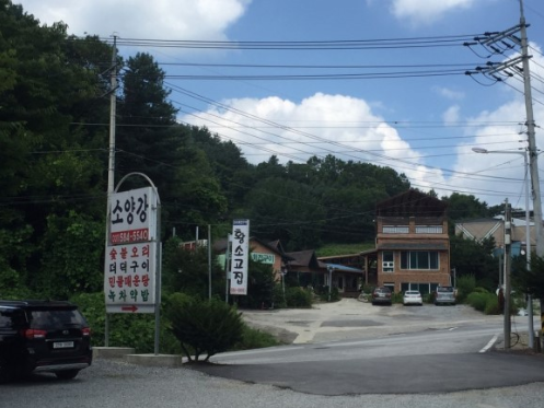 맹호식당 이미지