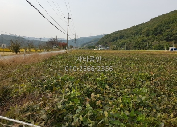 공주IC(정안) 이미지