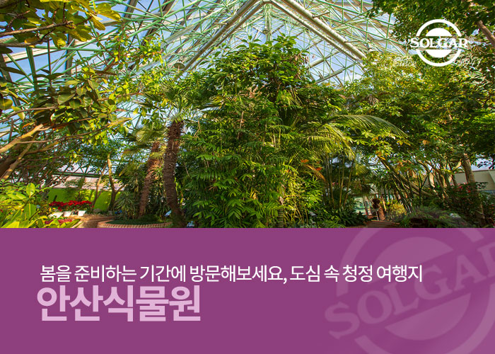 힐링솔가 이미지