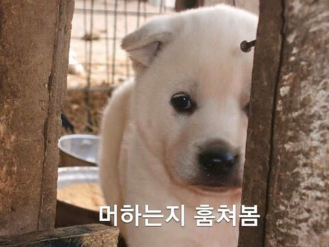 없음 이미지