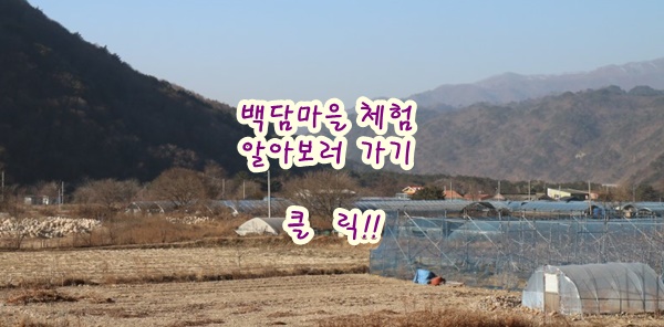 백담표고황태 이미지
