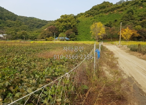 공주IC(정안) 이미지