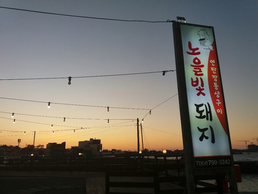 노을빛돼지 이미지