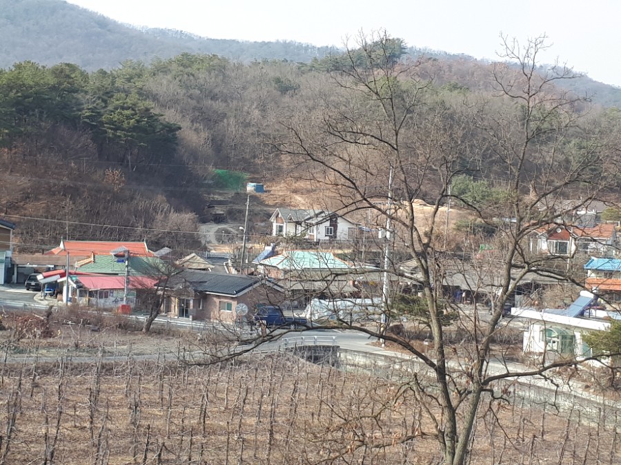 조대슈퍼 이미지