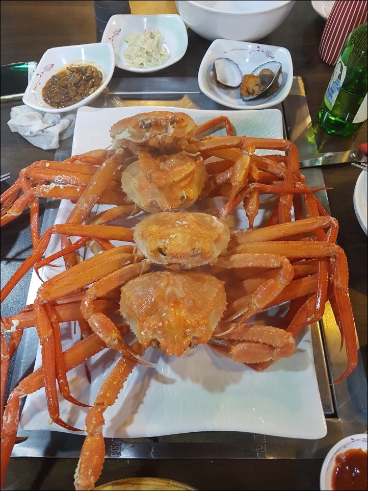 어촌회마을 이미지