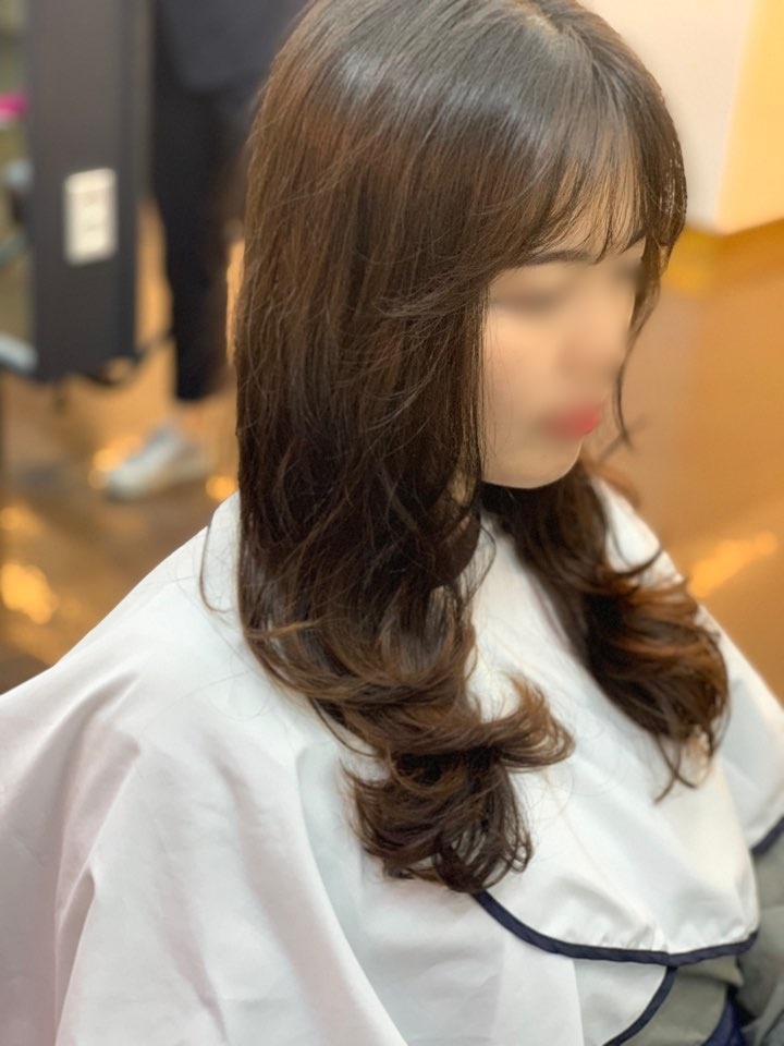 바바라헤어 이미지