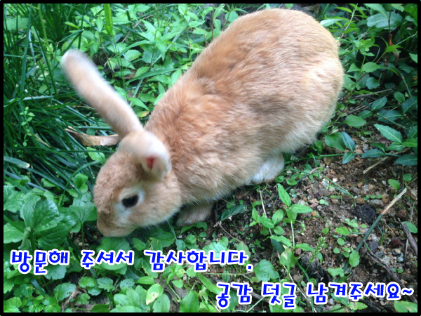 인천삼성어린이집 이미지