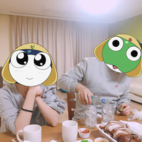 보코이 이미지