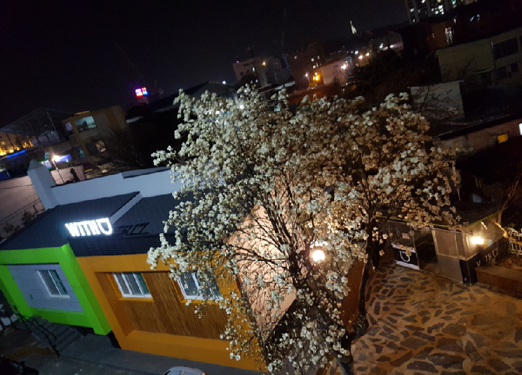 기쁨고속관광 이미지