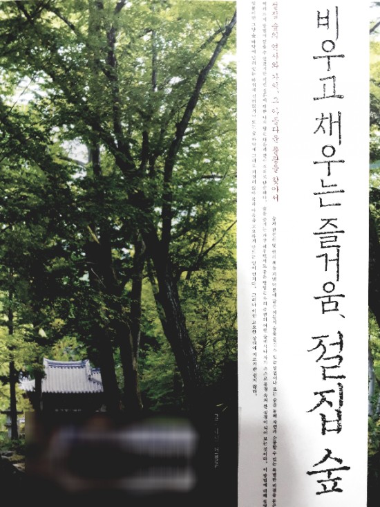 비우고채우는숲 이미지