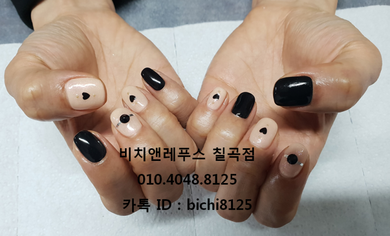 비치앤레푸스 이미지