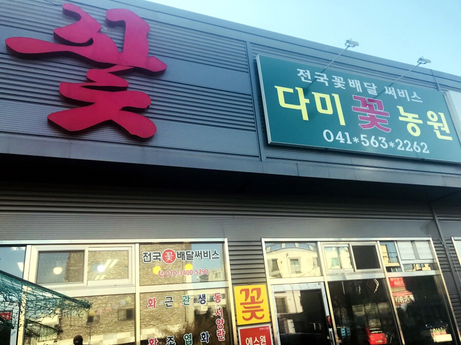 다미꽃농원 이미지