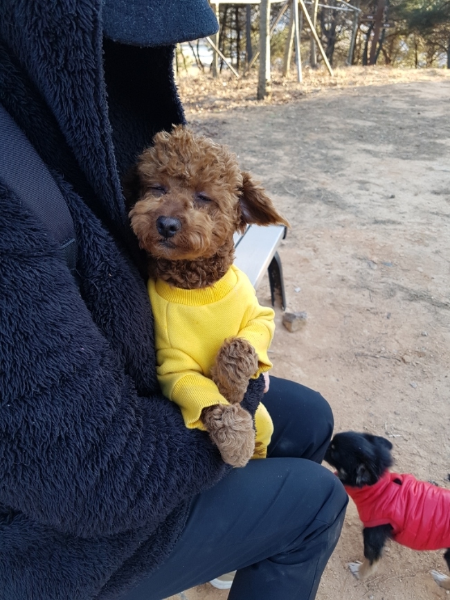 호두가족 이미지