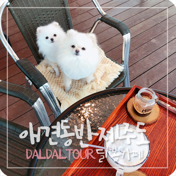 달봉카페 이미지