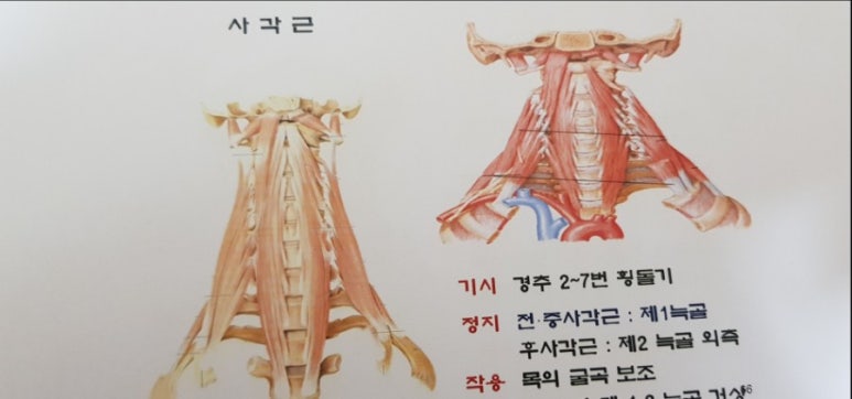 나나바디케어 이미지