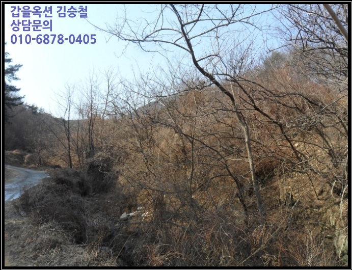 쌍방울주 이미지