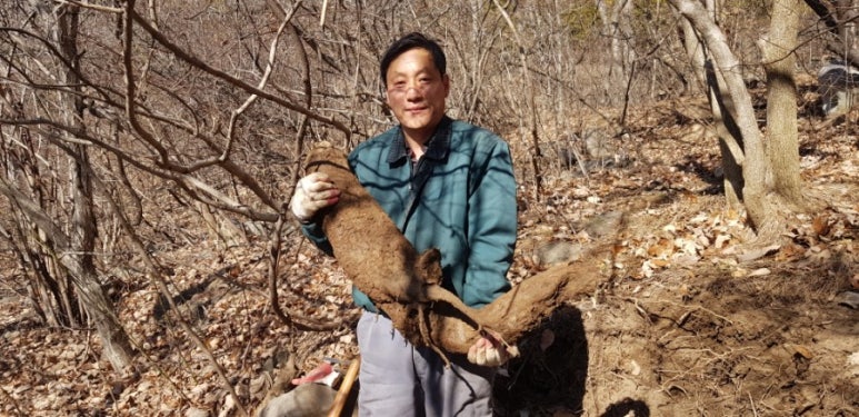 법인행복한농원 이미지
