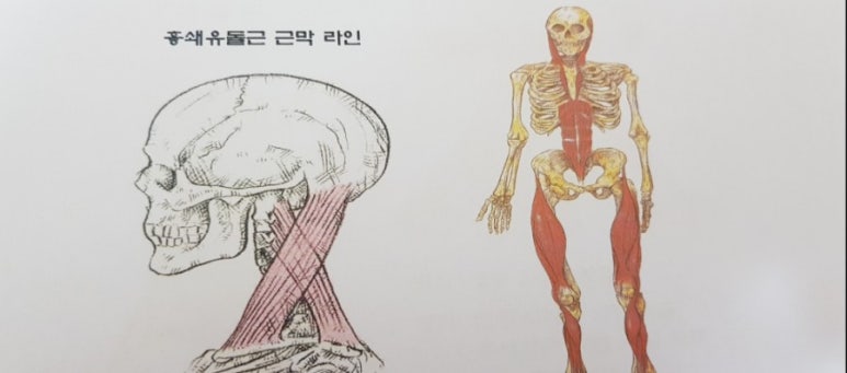 나나바디케어 이미지