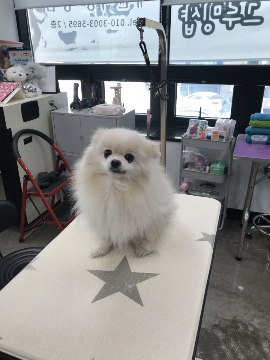 예삐미용실 이미지