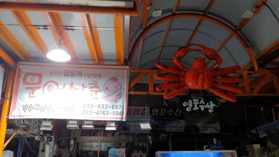 문어삼춘 이미지