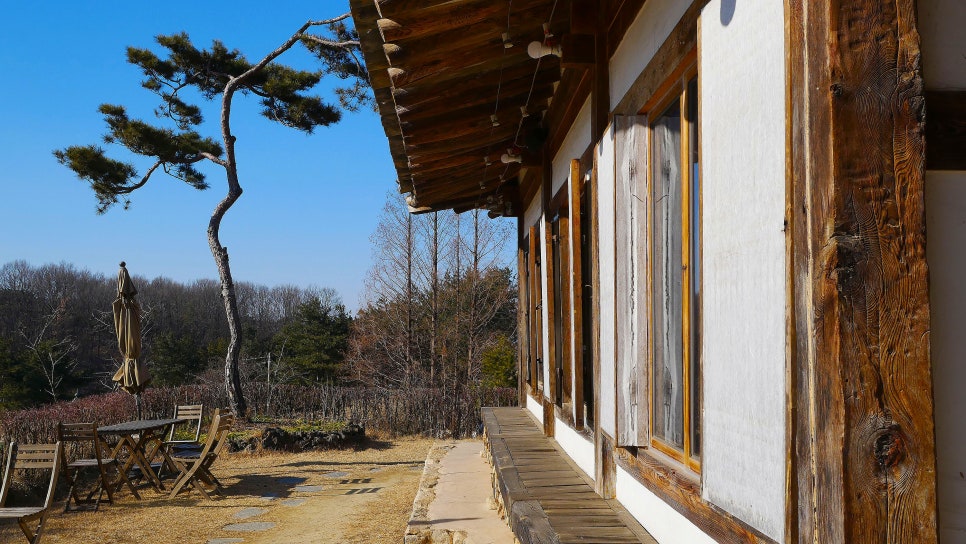 생활커피천안 이미지
