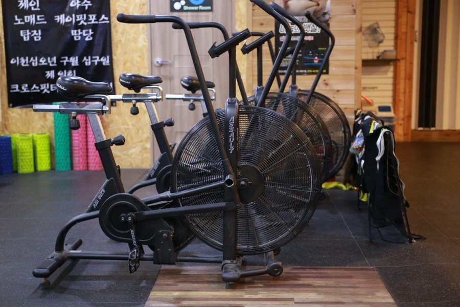 비스티즈 이미지