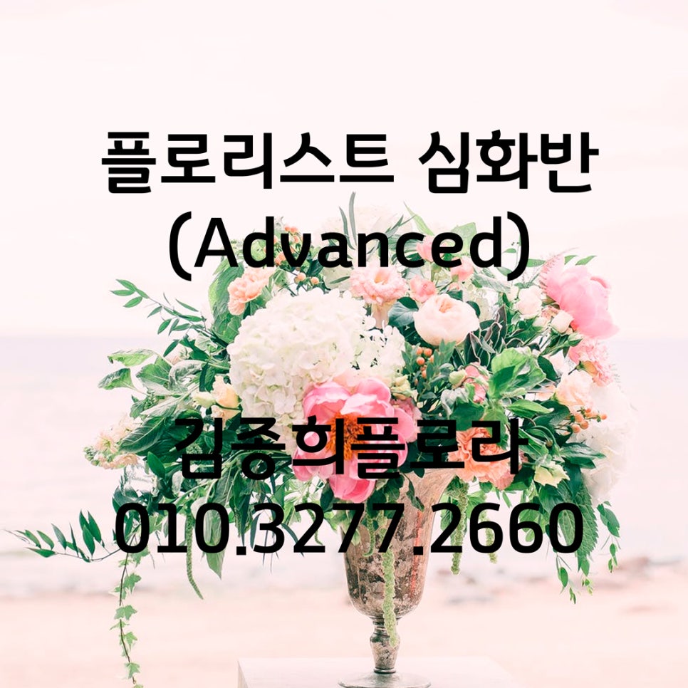 김종희플로라김종희플라워디자인학원 이미지