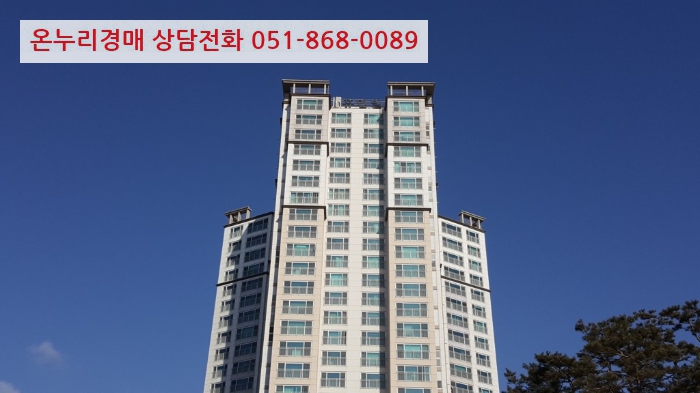 사삼가스 이미지