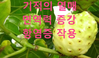내몸사랑 이미지