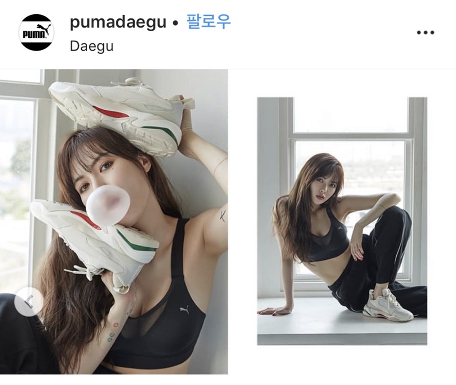 푸마성서 이미지