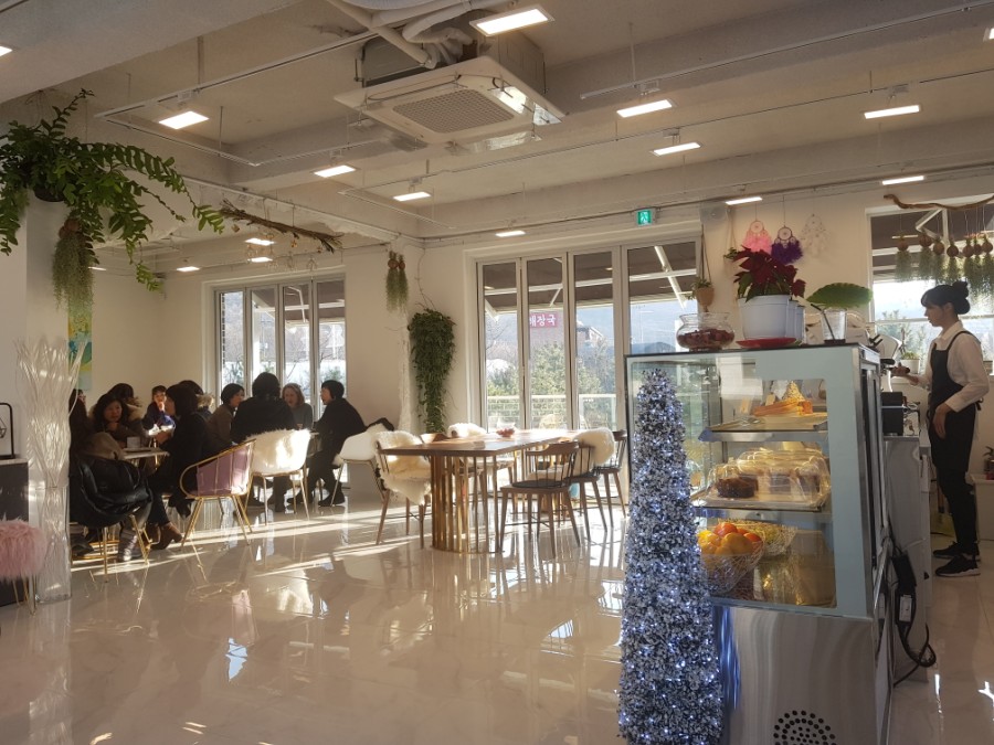 더카페886 이미지