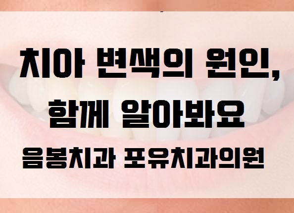 포유치과의원 이미지