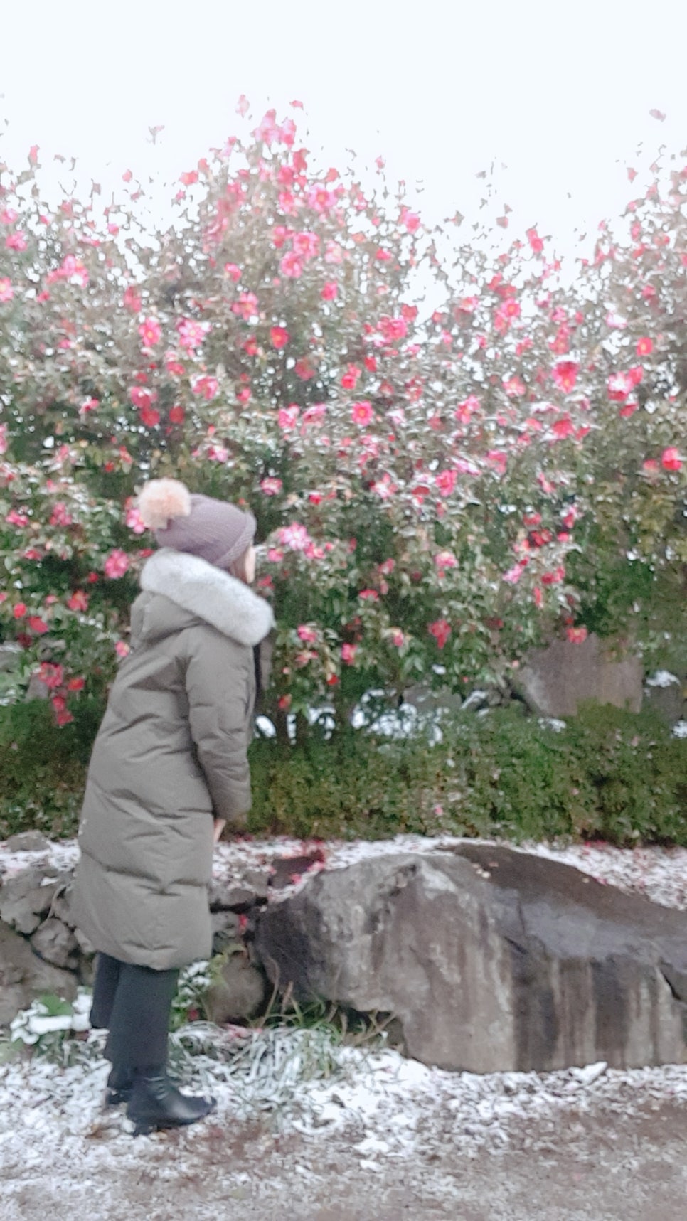 (주)동백투어 이미지