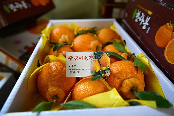 대가야미용실 이미지